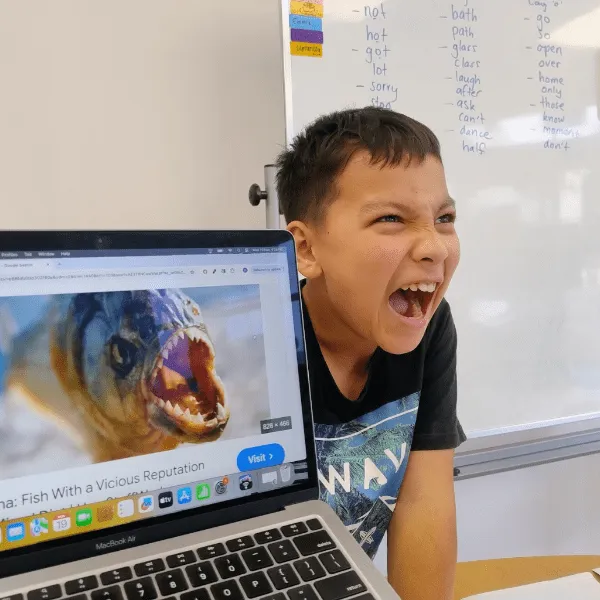 Term 4 Highlights 49